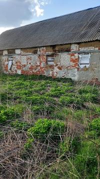 Здание  коровника-телятника. Площадь: 502.5 кв.м. Кадастровый номер: 68:17:0702001:134  с земельным участком, категория земель: земли населенных пунктов, площадь: 1961 кв.м, кадастровый номер: 68:17:1802010:121