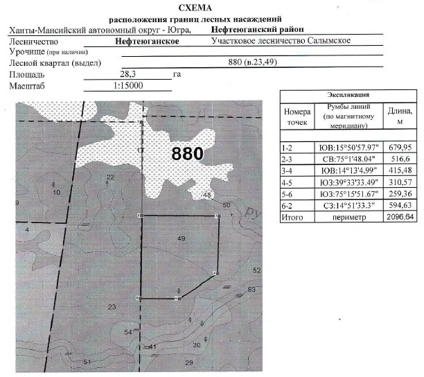 Аукцион на право заключения договора купли-продажи лесных насаждений для заготовки древесины в соответствии с ч.4 ст.29.1 Лесного кодекса Российской Федерации