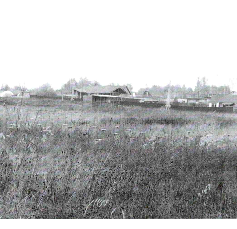 Земельный участок, общ. пл. 639 +/- 18 кв.м., к/н: 50:06:0110402:750, адрес: МО, Шаховской р-н, с/п Серединское. П.1469-ПТ от 09.09.26. Собственник: Сиушкин М.Н. Взыск: ПАО Сбербанк в лице филиала Среднерусский Банк ПАО Сбербанк. Цена: 131 920,00р.